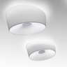 Ceiling Lights