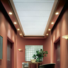 Commercial Ceilings