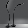 Floor Lamps